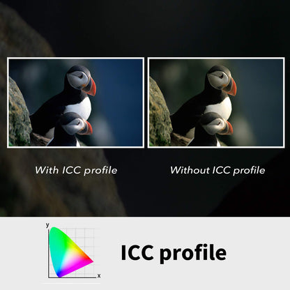 Plustek OpticFilm 8200i SE , 35mm Film & Slide Scanner. 7200 dpi / 48-bit Output. Integrated Infrared Dust/Scratch Removal. Bundle Silverfast SE Plus 9 , Support Mac and PC.