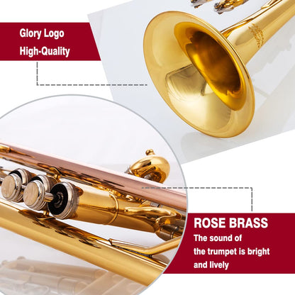 Glory Bb Trumpet - Trumpets for Beginner or Advanced Student with Case, pair of gloves-Gold