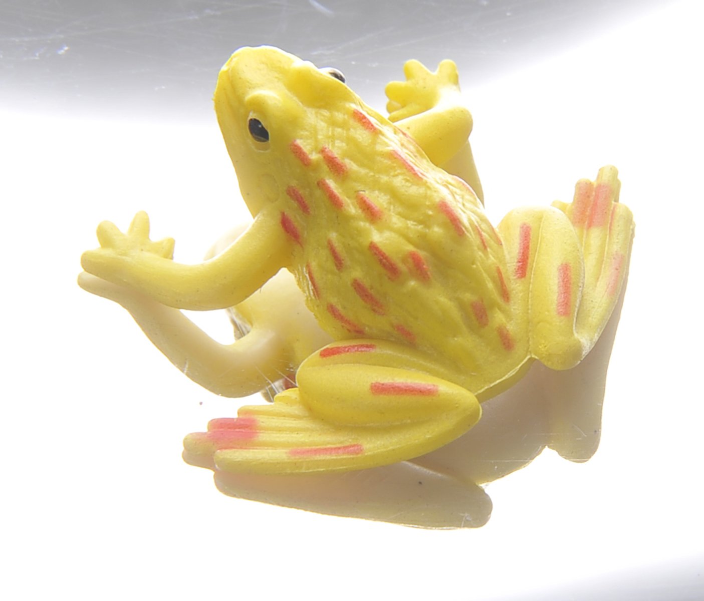 PowerTRC 6" 3-D Mirascope, Illusion Maker | Optical Illusions | 3-D Effect Toy