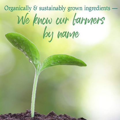 Garden of Life Raw Organic Perfect Food Energizer Juiced Green Superfood Powder - Yerba Mate Pomegranate, 30 Servings, Green Superfood Powder & Probiotics, Gluten Free Whole Food Greens Supplements