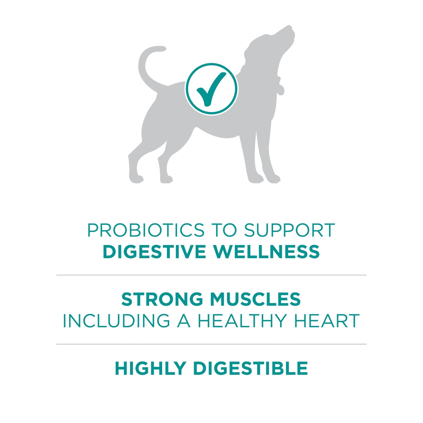 Purina One Plus Digestive Health Formula Dry Dog Food Natural with Added Vitamins, Minerals and Nutrients - 31.1 Lb. Bag