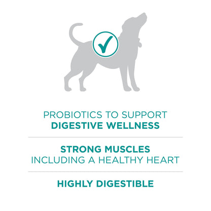 Purina One Plus Digestive Health Formula Dry Dog Food Natural with Added Vitamins, Minerals and Nutrients - 31.1 Lb. Bag