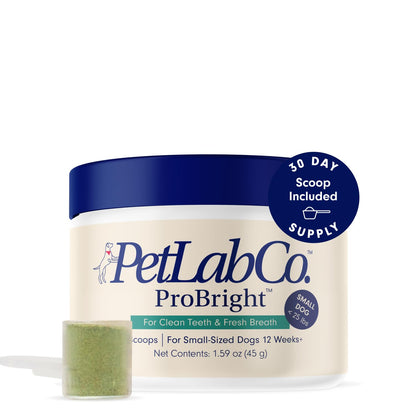 PetLab Co. ProBright Dental Powder - Dog Breath Freshener - Teeth Cleaning Made Easy – Targets Tartar & Bad Breath - Formulated for Small Dogs - Packaging May Vary