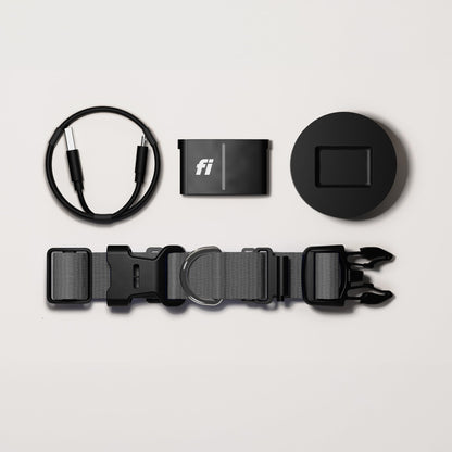 Fi Series 3+ Smart Dog Collar - GPS Dog Tracker and Activity & Fitness Monitor, Waterproof, LED Light, Escape Alerts, Nationwide Coverage [Free 6 Month Membership] (Gray, Small)
