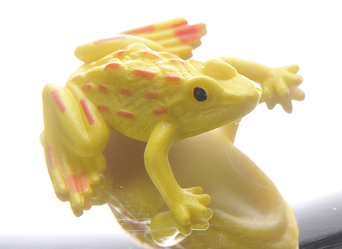 PowerTRC 6" 3-D Mirascope, Illusion Maker | Optical Illusions | 3-D Effect Toy