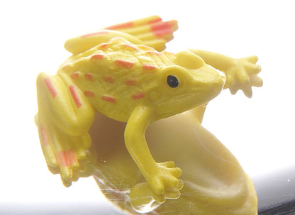 PowerTRC 6" 3-D Mirascope, Illusion Maker | Optical Illusions | 3-D Effect Toy