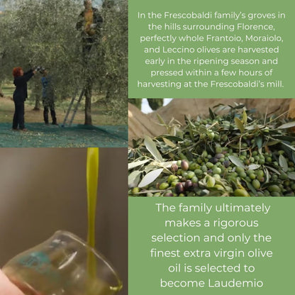 FRESCOBALDI Laudemio Extra Virgin Olive Oil, 16.9 FL Oz, 500ml, Premium, Award Winning Product of Tuscany, Italy, Fruity & Peppery Flavor, Smooth & Robust Low Acidity, Rich in Polyphenols