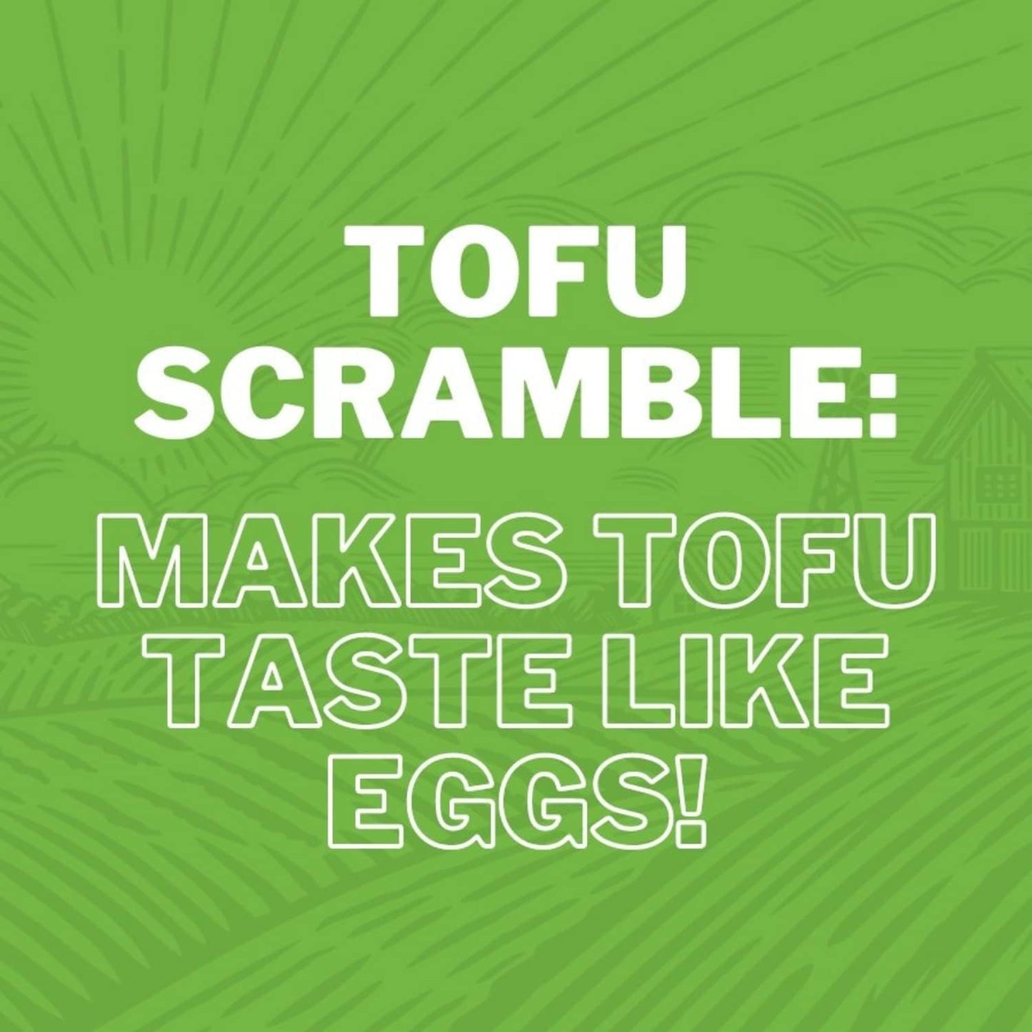 FreshJax Premium Gourmet Spices and Seasonings, Tofu Scramble Spice Mix (4.8oz Large Bottle) Vegan Plant-Based Tofu Seasoning, Organic Ingredients Gluten-Free Certified Kosher