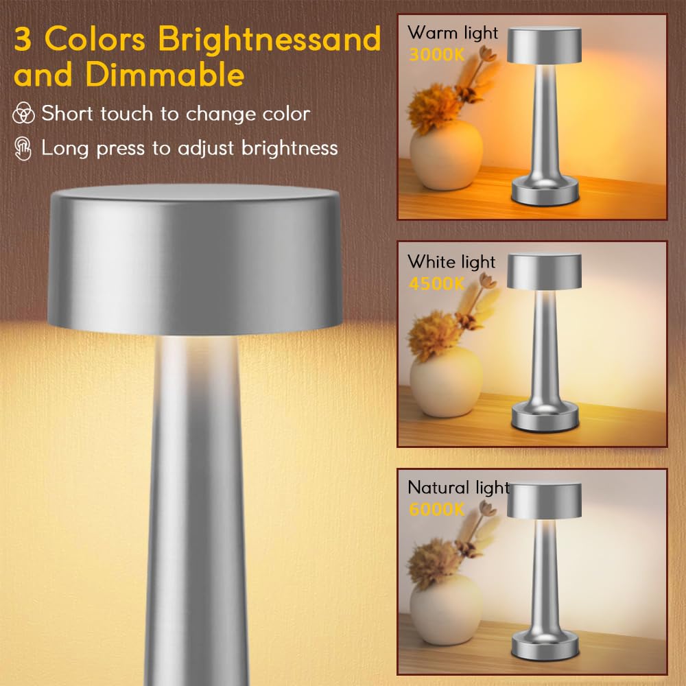 HPUFKOT Portable LED Table Lamp, 3-Levels Brightness Metal Desk Lamp,3 Color Touch Control Rechargeable lamp, Ideal Bedside Lamp for Nightstand,Bedroom, Living Room (Silver)