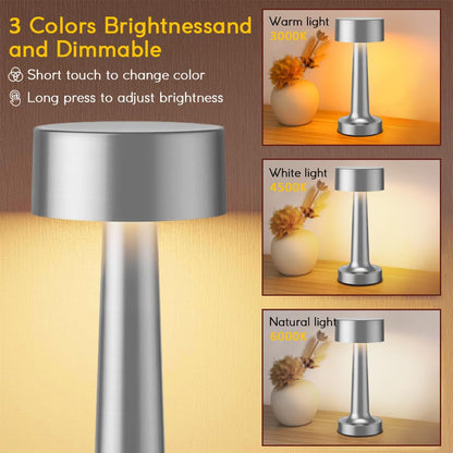 HPUFKOT Portable LED Table Lamp, 3-Levels Brightness Metal Desk Lamp,3 Color Touch Control Rechargeable lamp, Ideal Bedside Lamp for Nightstand,Bedroom, Living Room (Silver)