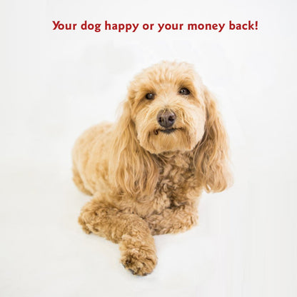 Majestic Pet Rectangle Medium Dog Bed Washable – Non Slip Comfy Pet Bed – Dog Crate Bed Super Value Pillow Dog Bed – Dog Kennel Bed for Sleeping - Dog Bed Medium Breed 35 x 28 Inch – Solid Gray