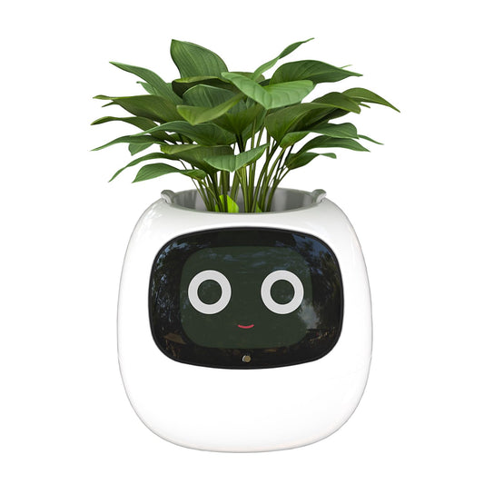 Masdio Smart Flowerpots, with Artificial Intelligence, Time Temperature Display, and Numerous Expressive Animations Based On The Environment, for Indoor Decoration, Gifts(White)