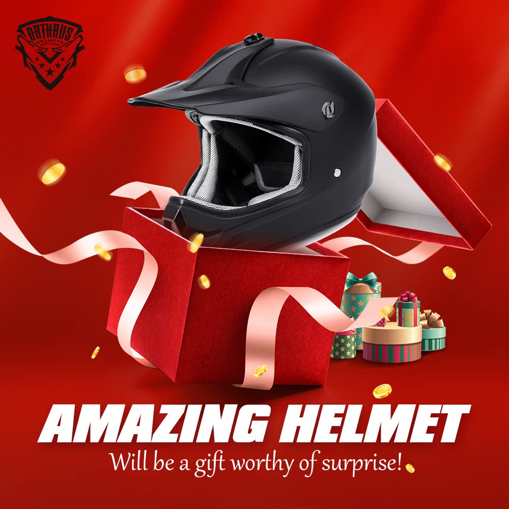 Orthrus DOT Certified Adult & Youth Helmet for Dirt Bike ATV Motocross Offroad Motorcycle Bike(MatteBlack,XL)