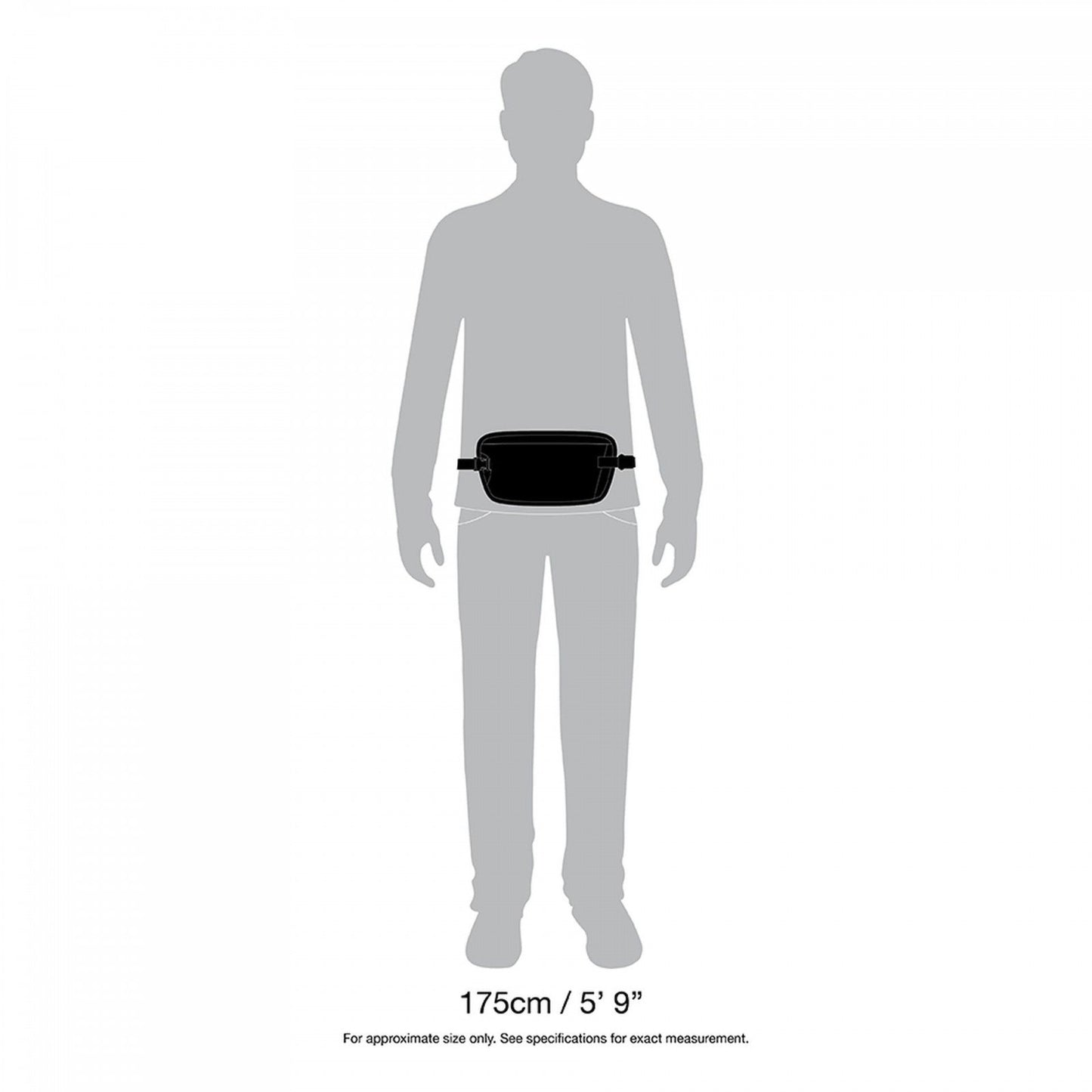 Pacsafe Coversafe X100 Anti-Theft RFID Blocking Waist Wallet, Black