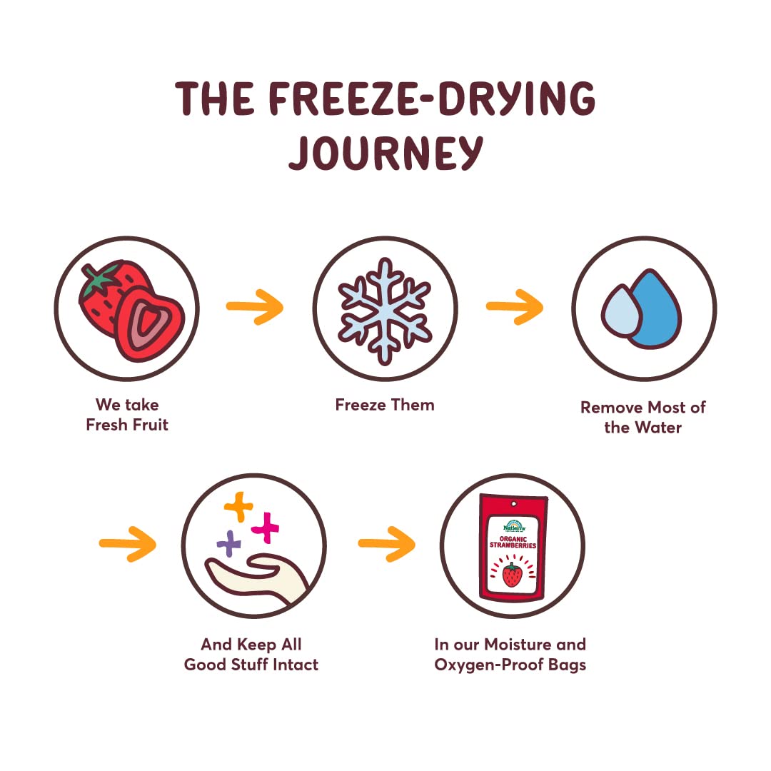 Natierra Nature's Organic Freeze-Dried Pineapples | Gluten Free & Vegan | 1.5 Ounce