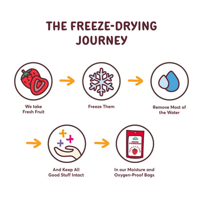 Natierra Nature's Organic Freeze-Dried Pineapples | Gluten Free & Vegan | 1.5 Ounce