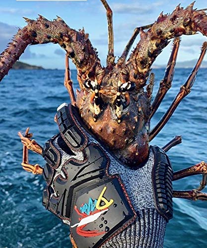 Lobster Gloves for Diving Kevlar Spearfishing Dive Glove Puncture Resistant (Medium)
