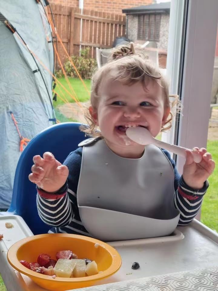 PandaEar 3 Pack Waterproof Silicone Baby Bibs| Super Thin Light Weight Feeding Bib with Food Catcher Pocket for Toddler (Walnut&Linen&Brown)