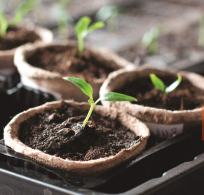 FDGARDEN Biodegradable Peat Pots for seedlings, 100 Pack Plant Seed Starter Pots Kit, 2.36inch Succulent Planter Nursery Pots with 10 Plant Markers, Garden Germination Kits