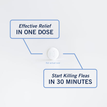 PetArmor CAPACTION (nitenpyram) Oral Flea Treatment for Dogs, Fast Acting Tablets Start Killing Fleas in 30 Minutes, Dogs 2-25 lbs, 6 Doses