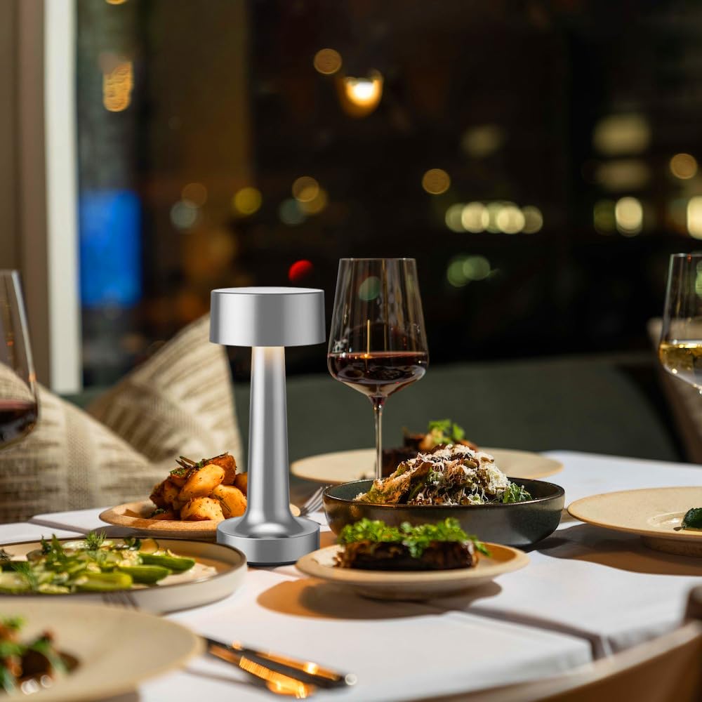 HPUFKOT Portable LED Table Lamp, 3-Levels Brightness Metal Desk Lamp,3 Color Touch Control Rechargeable lamp, Ideal Bedside Lamp for Nightstand,Bedroom, Living Room (Silver)