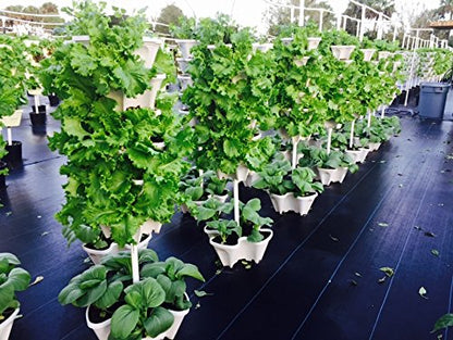 3 Tier Stackable Garden,Indoor,Outdoor Vertical Planter Set,Self Watering Tiers From Top Down,Smart Planting Pots,Used for Strawberries Herbs Peppers Flowers and Succulents (Stone)