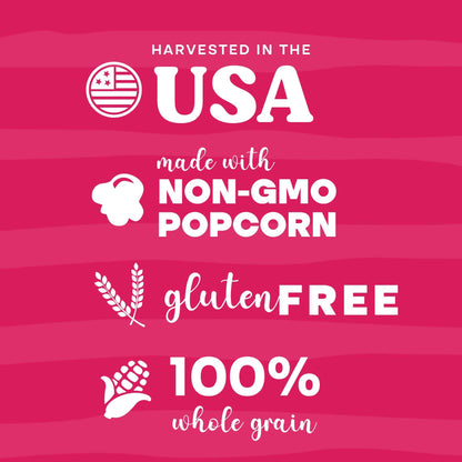 Pop n' Dulge Popcorn Movie Night Supplies 16 pcs Gift Set, 5 Gourmet Popcorn Kernels, 5 Seasoning Variety Packs Non-GMO Kosher Snacks, Great Housewarming Family Date Night Gifts Basket Ideas For Him Her