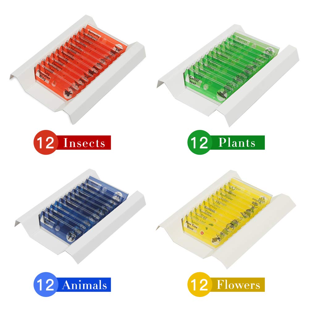 48 Prepared Microscope Slides Set of Animals Insects Plants Flowers, Biological Learning Resource Specimens for Kids Beginner Classroom Basic Science Education