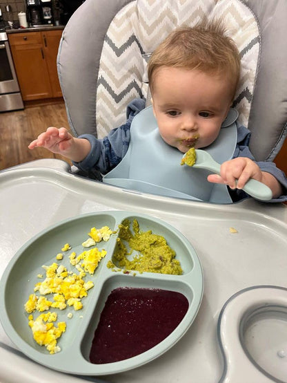 PandaEar 3 Pack Silicone Bibs for Boys Girls for Babies & Toddlers, Waterproof Feeding Bib with Large Food Catcher, BPA Free (Blue & Gray)