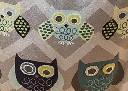 Evenflo Exersaucer Johnny Jumper Featuring Easy-to-Use Clamp Attachment for Quick and Tool-Free Set Up and Adjustable Straps to Customize the Height for Your Child, Owl