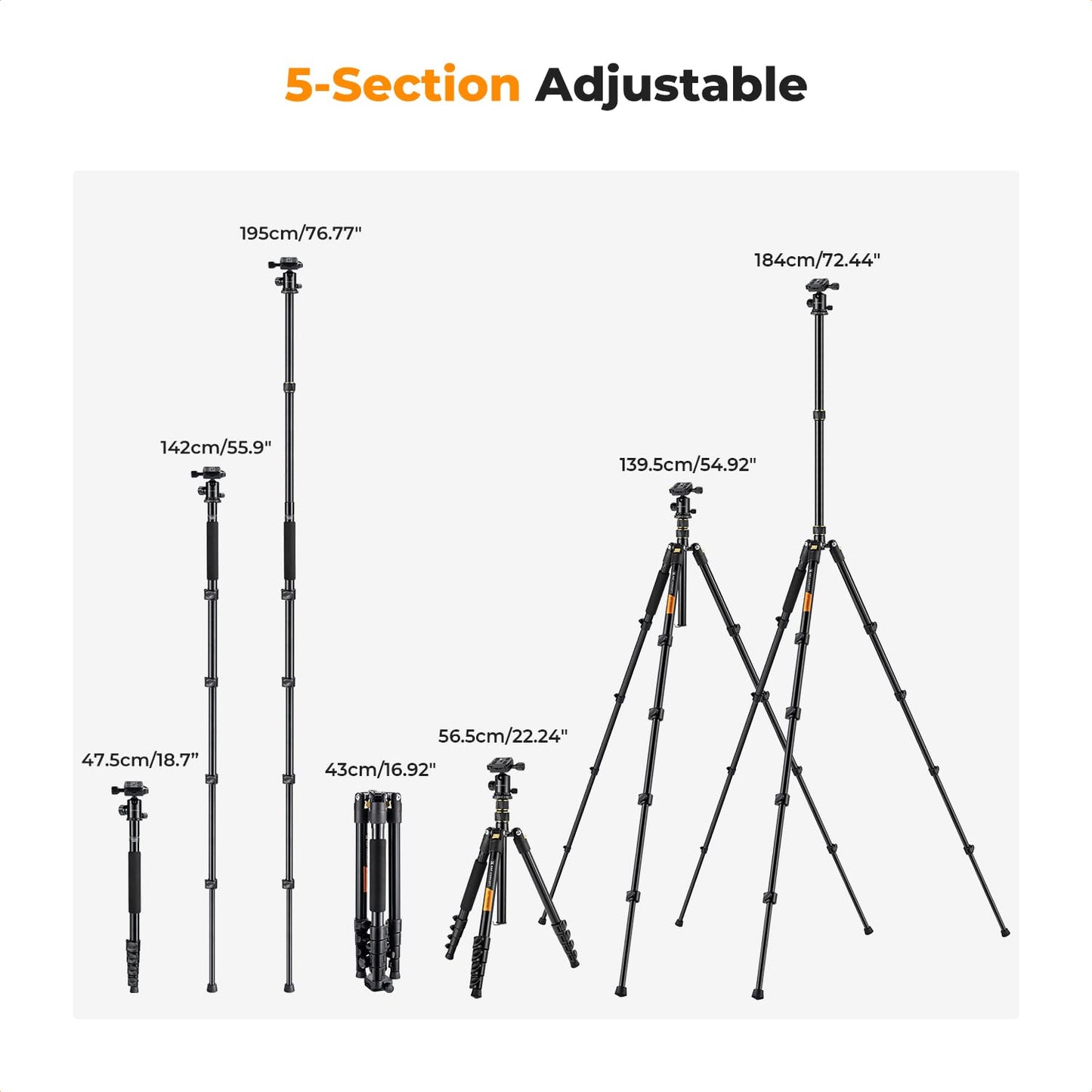K&F Concept Camera Tripod，72" Aluminum Tripod for Camera, Lightweight and Foldable Travel Tripod with Remote& Extra Quick Release Plate, Professional Camera Tripod Monopod for DSLR Camera and Phone.