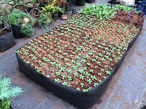 4 ft X 8 ft Victory 8 Big Green Grow Your OWN Machine EZ-GRO Raised Bed Garden AeroFlow Proprietary Fabric No Assembly