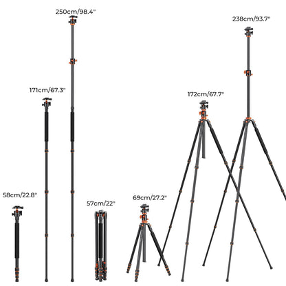 K&F Concept 94 Inch Camera Tripods 4 Section Ultra High Aluminum Professional Detachable Monopod Tripod with 360 Degree Ball Head Quick Release Plate for DSLR SLR Cameras T254A8+BH-28L (SA254T1)