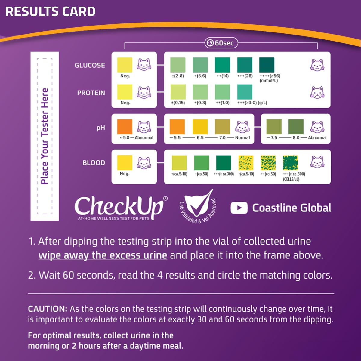 KIT4CAT CheckUp at Home Cat Wellness Test Kit | 2lb Hydrophobic Litter keeps urine on top, 2 Test Strips for The Detection of The 4 Most Common Health Indicators - pH, Protein, Glucose, Blood in urine