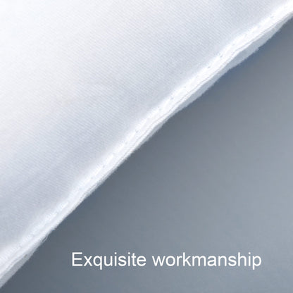 NTBAY 2 Pack Cotton Down Alternative 13x18 Pillows, Machine Washable - Soft and Breathable Travel Small Pillows for Sleeping, Ideal for Daycare, Crib, Cot