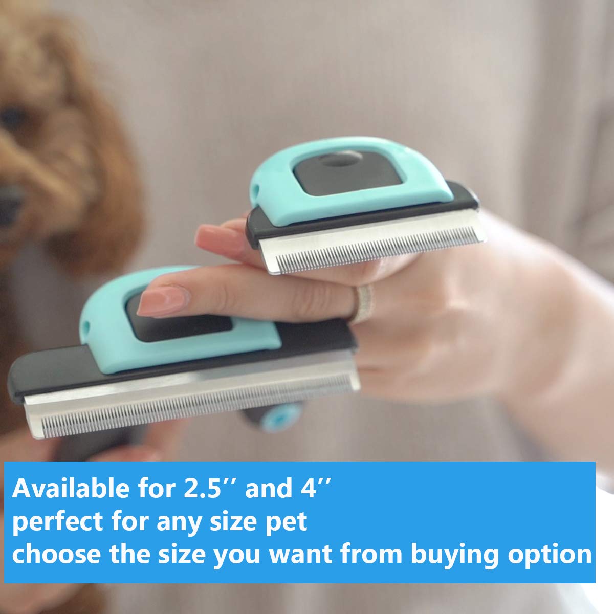 Petgle Cat Brush & Cat Comb for Shedding, 2.5inch Blue - Hair Brush for Long Hair and Short Hair, Pet Grooming Tool for Small to Medium Dogs and Cats, Detangle, Eco Friendly, Weekly Grooming