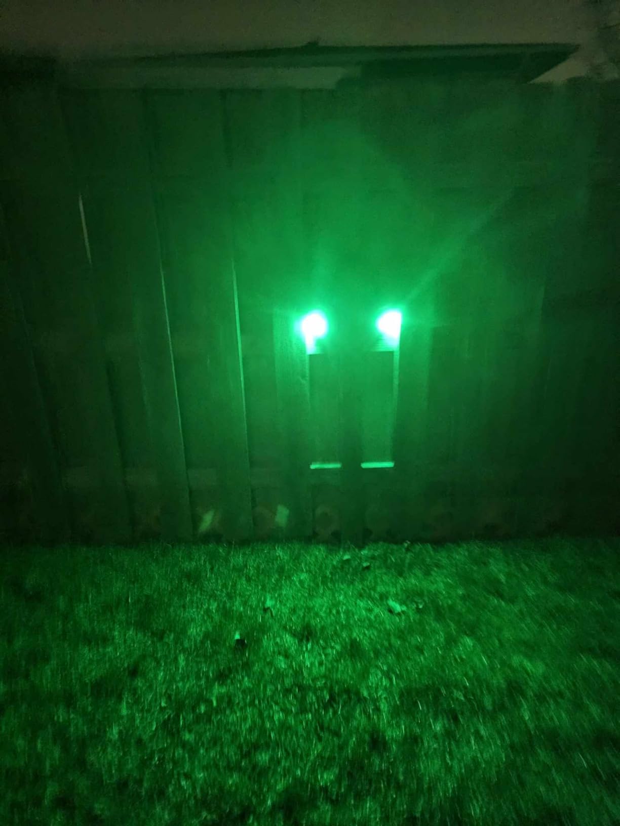 LILBEES Solar Powered Hog Feeder Light-Motion-Activated for Hogs,Deer,Pig Feeding and Yard Varmint Guarding-Campact Camouflage Green Lights Design for Outdoor Night Hunting for Games(G300) 2-Pack