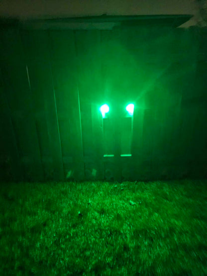 LILBEES Solar Powered Hog Feeder Light-Motion-Activated for Hogs,Deer,Pig Feeding and Yard Varmint Guarding-Campact Camouflage Green Lights Design for Outdoor Night Hunting for Games(G300) 2-Pack