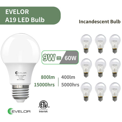 evelor 6-Pack A19 LED Light Bulbs,60 Watt Equivalent Daylight 5000K with E26 Base,Efficient 9W,800 Lumens Non-Dimmable LED Bulbs,15000 Hours, Ideal for Bedroom Living Room