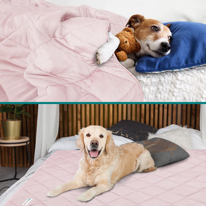 PetAmi Premium Cooling Dog Blanket | Lightweight Fluffy Pet Throw Blanket Bed Cover for Dogs, Cat, Puppies | Pet Blanket Furniture Protector Couch Sofa | Reversible Fuzzy Cozy | 24x32, Pink