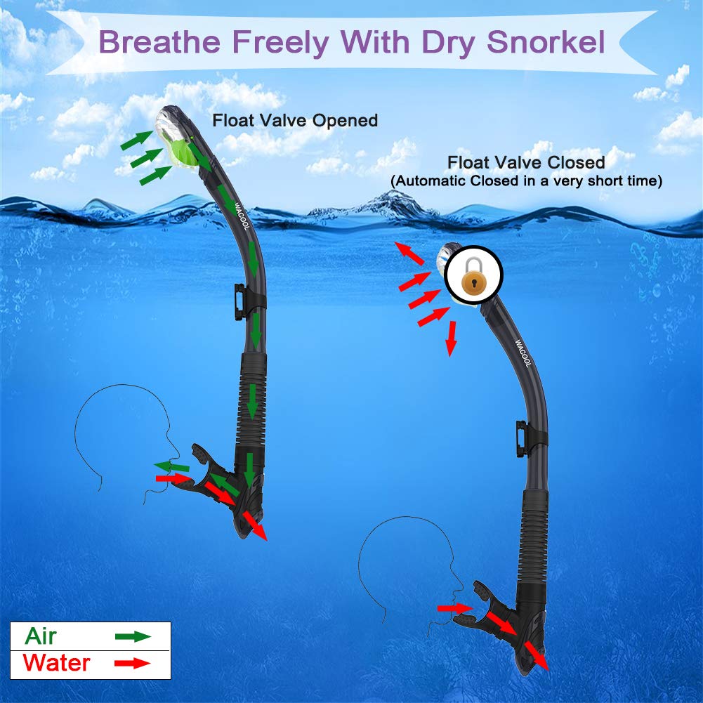 WACOOL Professional Snorkeling Snorkel Diving Scuba Package Set with Anti-Fog Coated Glass Purge Valve and Anti-Splash Silicon Mouth Piece for Men Women (Adults,Black)