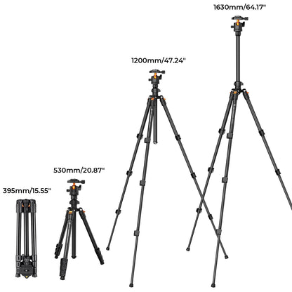 K&F Concept 64 inch/163cm Camera Tripod,Lightweight Travel Outdoor DSLR Tripods with 360 Degree Ball Head Load Capacity 8kg/17.6lbs,Cellphone Clip for Smartphone Live Streaming Vlog O234A1+BH-36