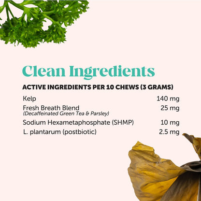 Fresh Dental Bites for Cats - Crunchy & Creamy Cat Dental Treats for Fresh Breath, Plaque + Tartar Control, Cleans Teeth + Gums, Daily Cat Oral Care (30 Day Supply)