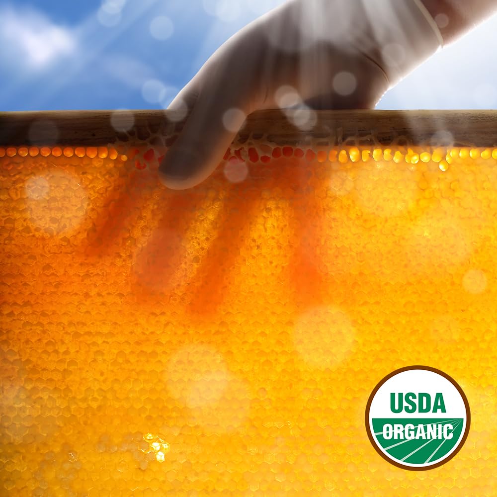 Glorybee, Organic Light & Mild Honey, 100% US Grade A Honey, 5lb