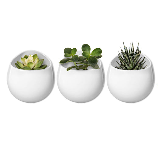 Mkono 4 Inch Wall Mounted Planter Round Ceramic Hanging Plant Holder Decorative Flower Display Vase Succulent Pots for Indoor Plants, Set of 3, White (Plants NOT Included)