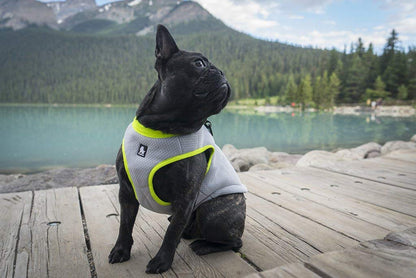 JUXZH Truelove Dog Cooling Vest Harness Cooler Jacket with Adjustable Zipper for Outdoor Hunting Training and Camping