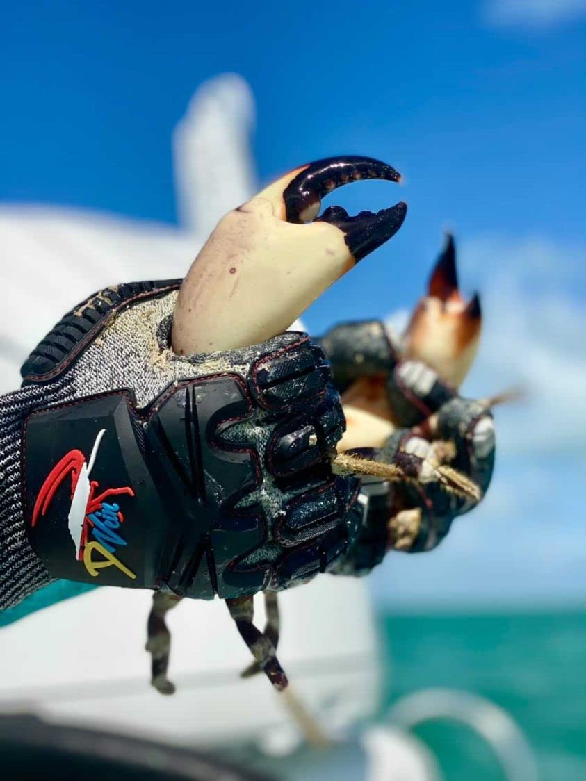 Lobster Gloves for Diving Kevlar Spearfishing Dive Glove Puncture Resistant (Medium)