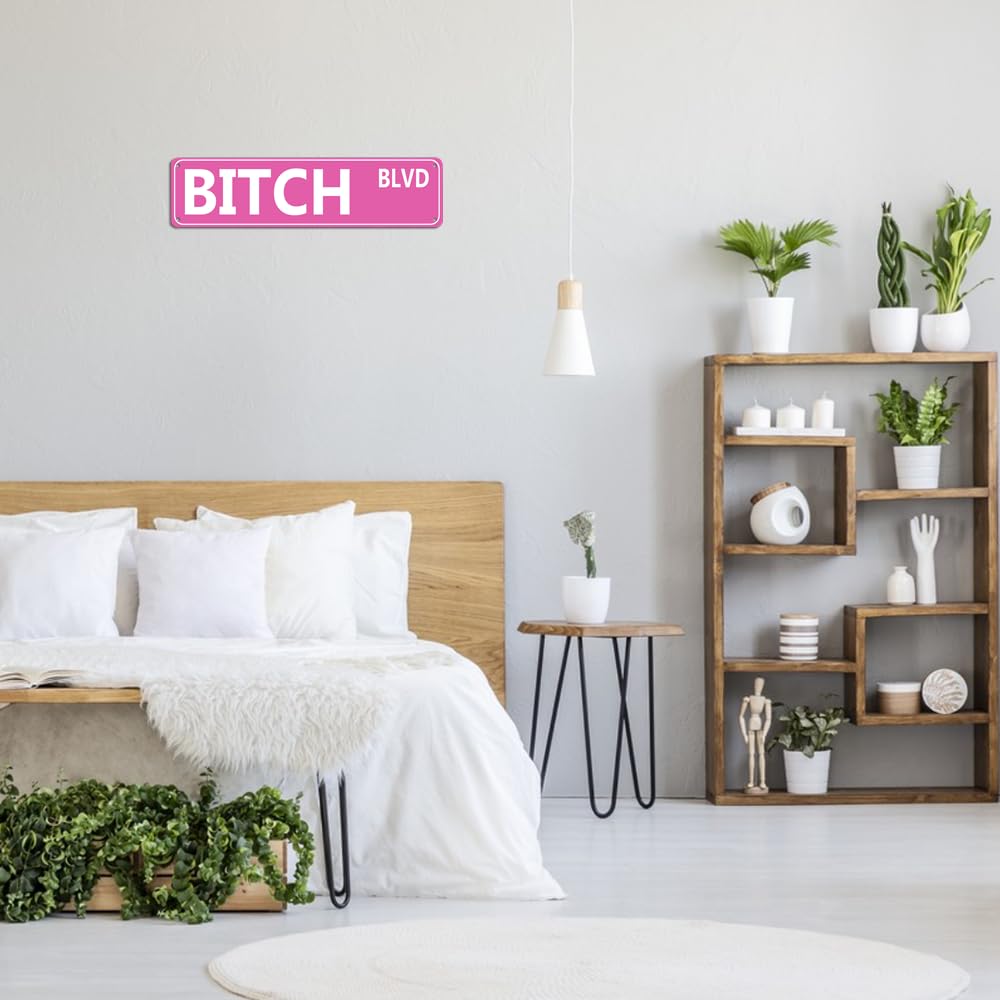 Retro Pink Tin Metal Sign - 'BITCH BLVD' - Bold Statement Decor for Home, Bar, or Dorm - 16x4 Inches - Unique Gift Idea for Friends(B71)