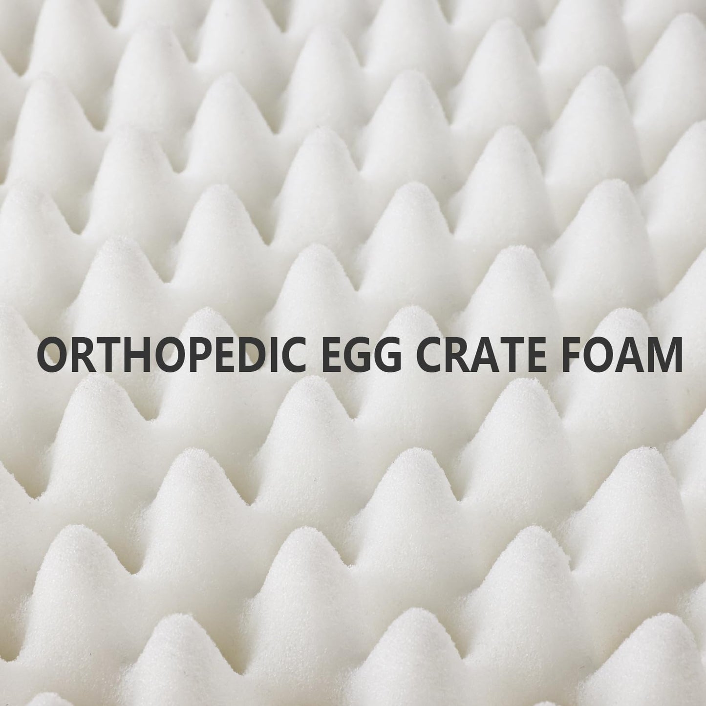 Patas Lague Orthopedic Dog Bed Large Sized Dog 36''X24'', Waterproof L Bolster Medium Pet Sofa Beds with Removable Washable Cover, Soft Comfortable Pet Couch Crate Mat with Nonskid Bottom, Black