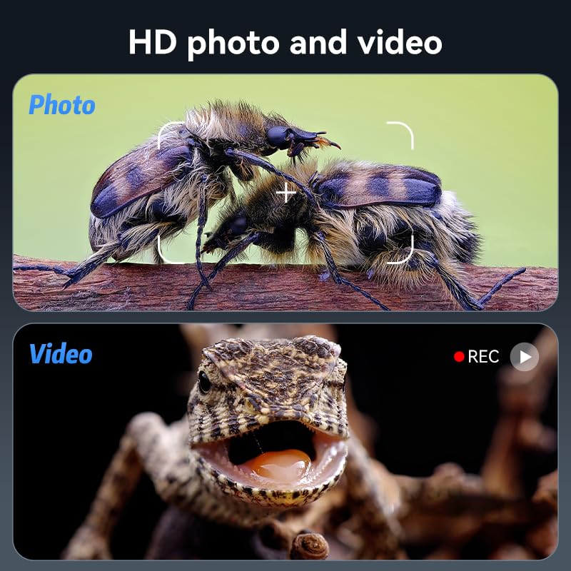 Microscope-LCD Digital Coin Microscope 500x, Coin Magnifier with 8 Adjustable LED Lights, PC View Compatible with Windows/MacBook,7 Inch